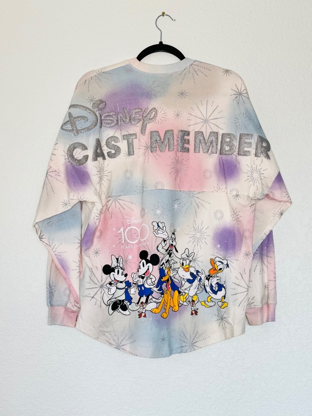 Walt Disney World Cast Member Sweatshirt S 100 Years of Wonder Spirit Jersey